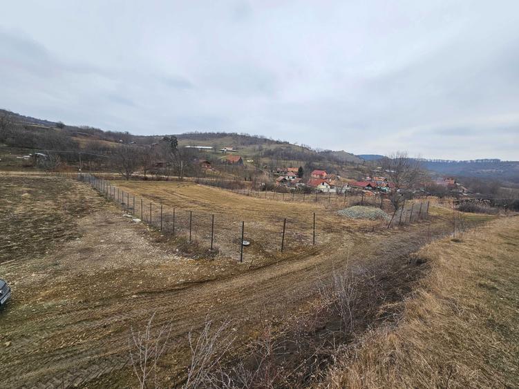 Teren intravilan Hamba - 4