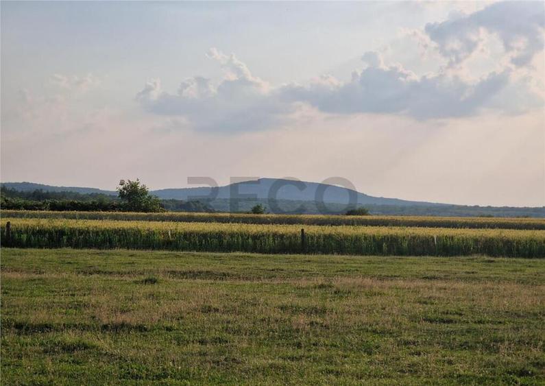 RECO parcele in Felcheriu - 1