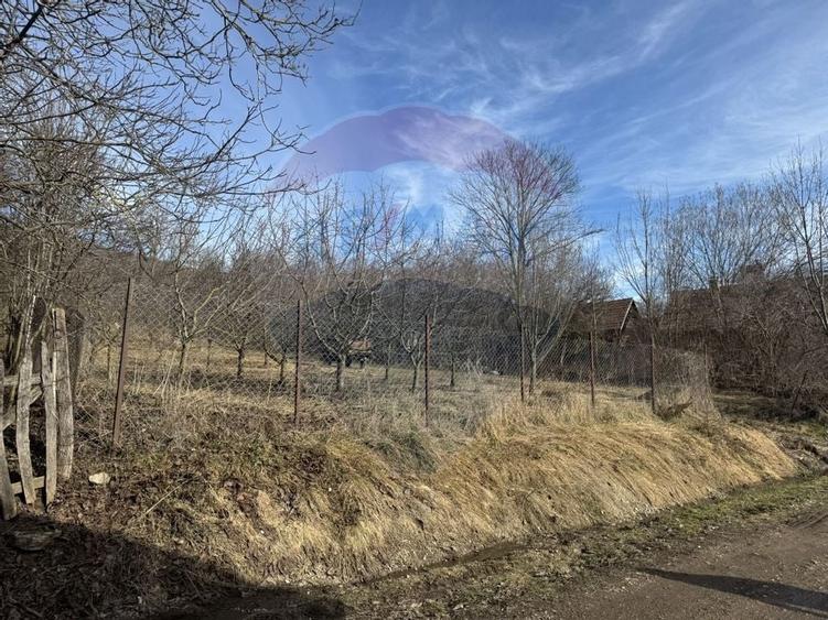 Teren intravilan 1.271 mp – Izvoarele, jud. Alba - 15