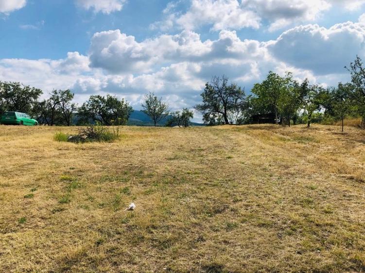 Teren Construcții intravilan de 750 mp, în Sud