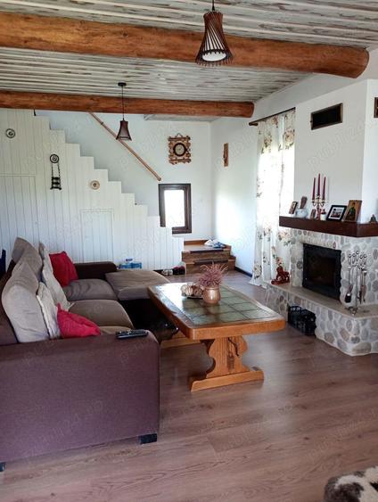 Proprietate montana cu doua cabane,5000mp teren-Costesti,judetul Alba altitudine1200m ideal investit - 9