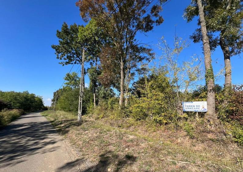 De vanzare Teren Intravilan Viile Satu Mare 2812MP/Dublu ... - 5