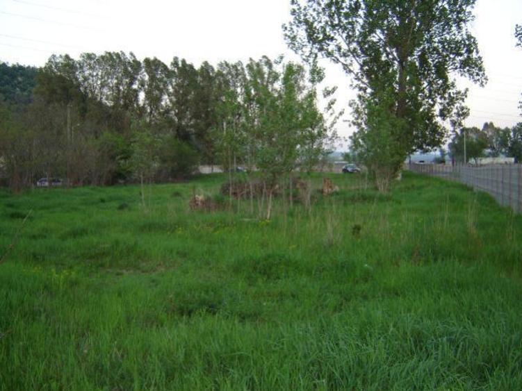 Teren central intravilan constructii intre DealulCapela-Raul Olanesti - 3
