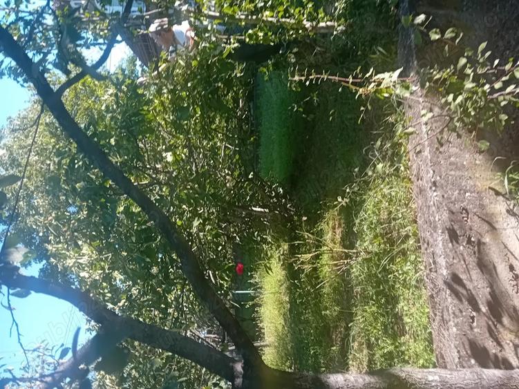 Vand casa de locuit Cuvin ARAD - 7