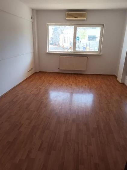 Vila la inchiriere in zona Unirii Mantuleasa - 9