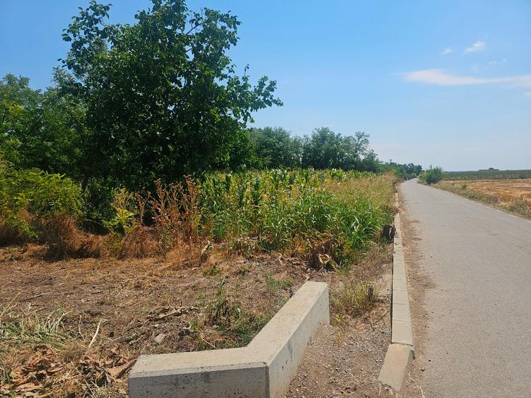 Vand teren intravilan  - 2