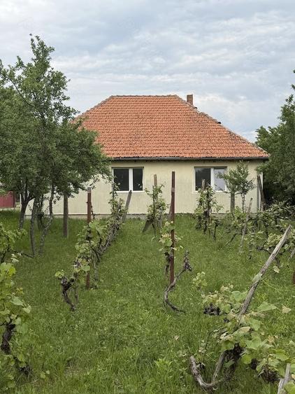 Casa de vanzare in sat.Capalna, jude?ul.Bihor - 1