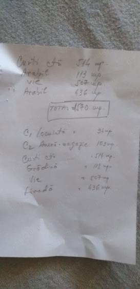 Vand casa in cartierul Neicu-Panciu - 10