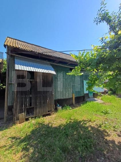 Casă de vânzare cu anexe, 174 mp, 22 ari teren, Grigoresti - 12