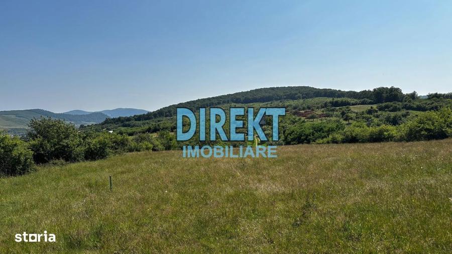 Teren intravilan strada Trifoiului - 4