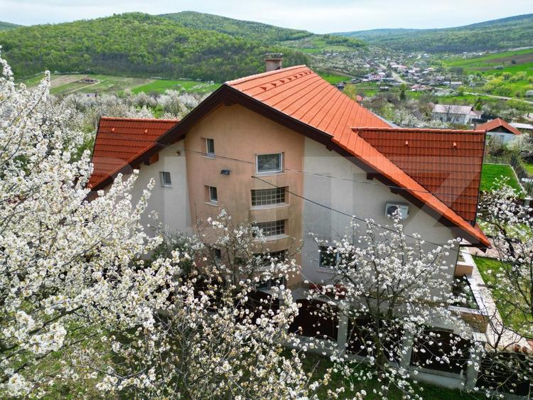 Casa boiereasca, rafinata si luxoasa cu 8 camere, 480mp, Chicerea - 3