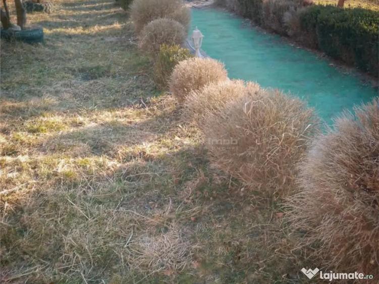 Vila 14 camere- Valea Doftanei - 7