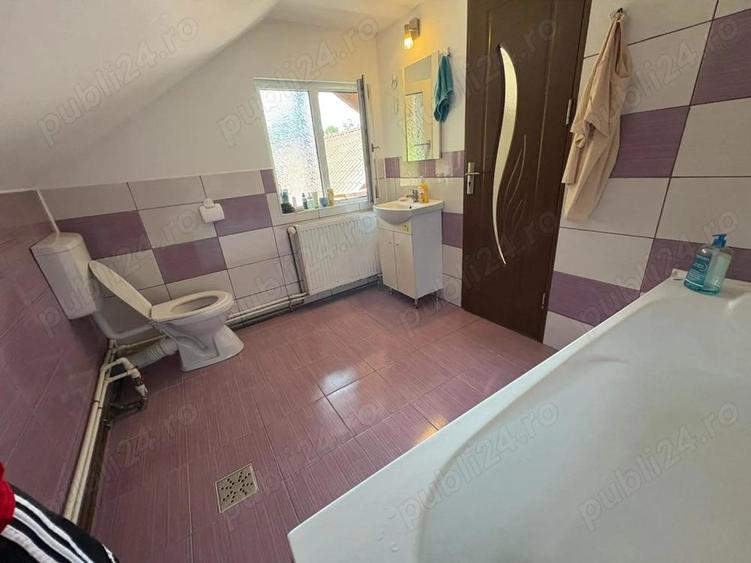 Casa Cheia Baile Olanesti Valcea - 14