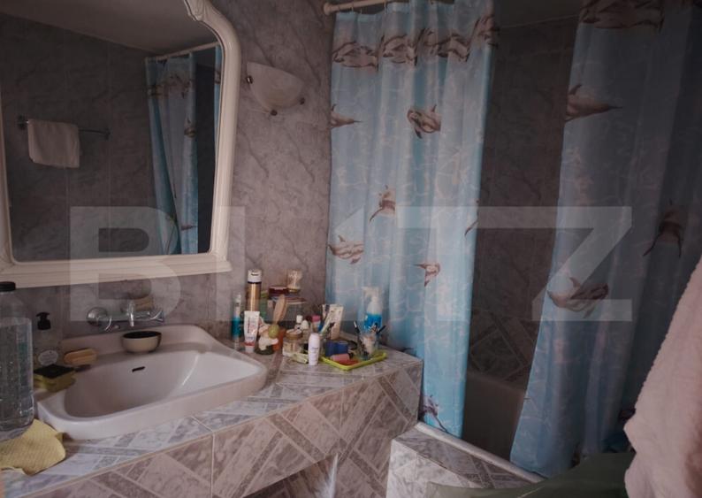 Proprietate in zona Parcului N Romanescu, casa batraneasca s - 1