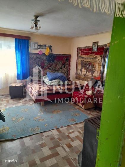 Corp de 2 case individuale, zona Intregalde, 130mp utili si 1035 mp te - 5