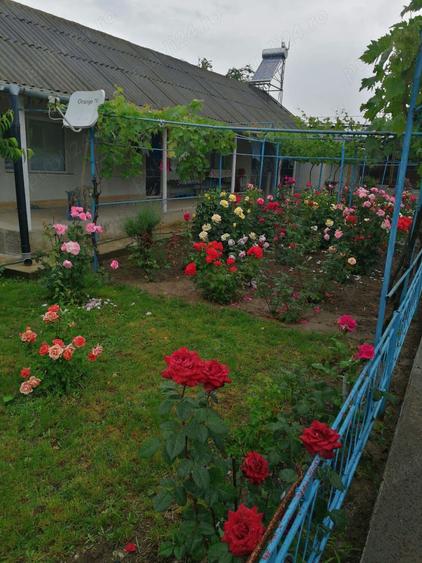 Casa la tara cu gradina - 5