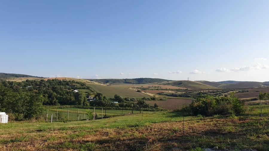 Casa de vacanta de vanzare - 5