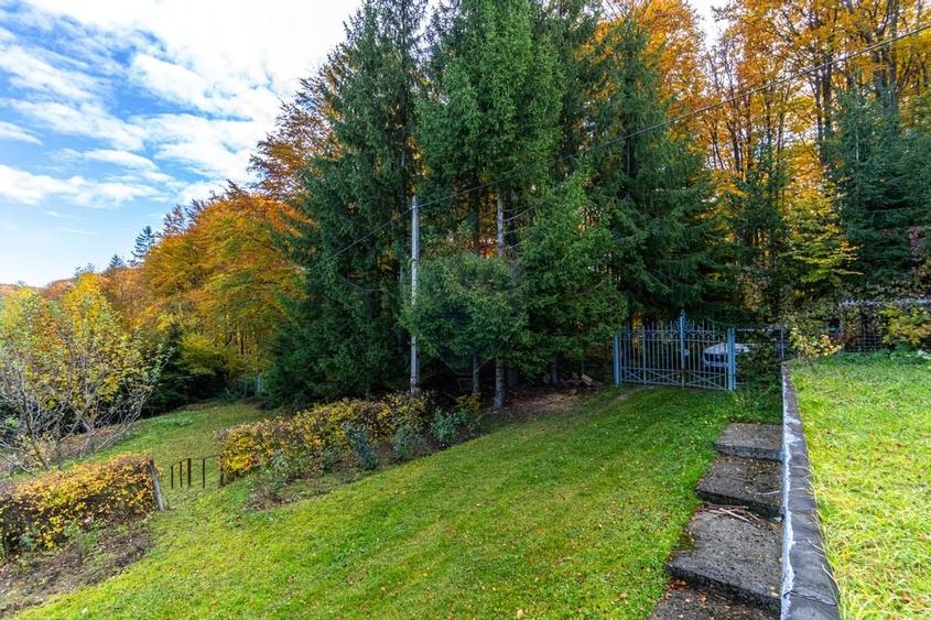 Oferta! Pensiune cu 7 camere de vanzare/ Poiana Marului - 29