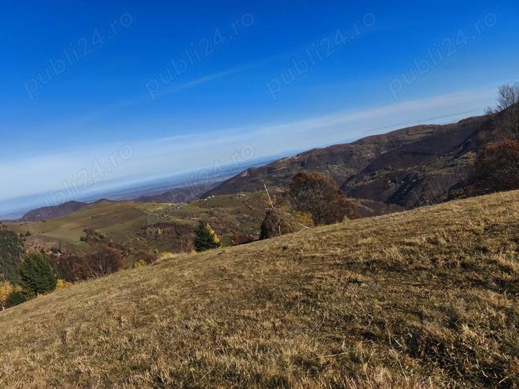 Vand casa din lemn + teren - 1