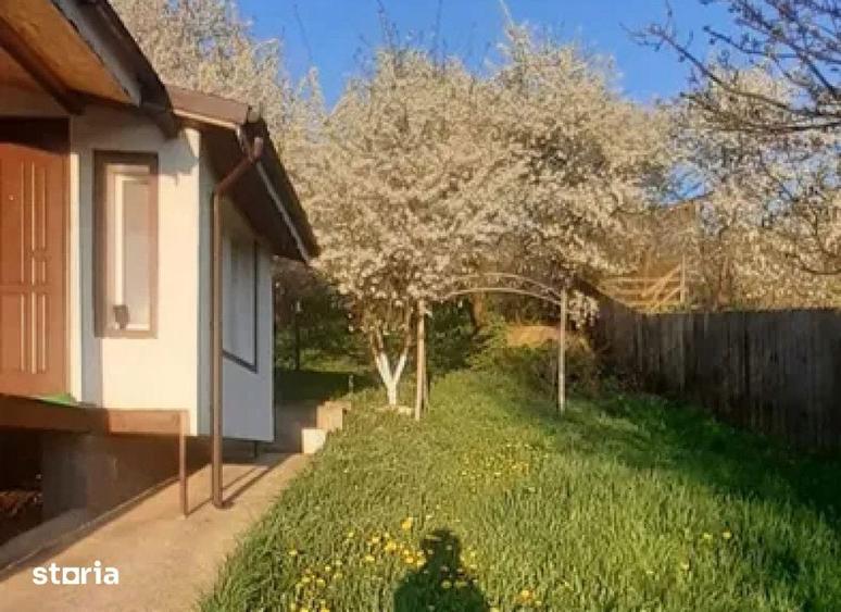 Casa 4 camere Dobreni , 100 metri Cod:162341 - 5