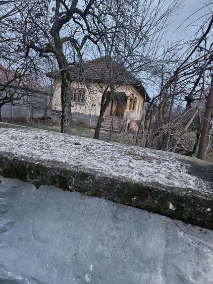 Casa Stane?ti Gorj 7000mp - 4