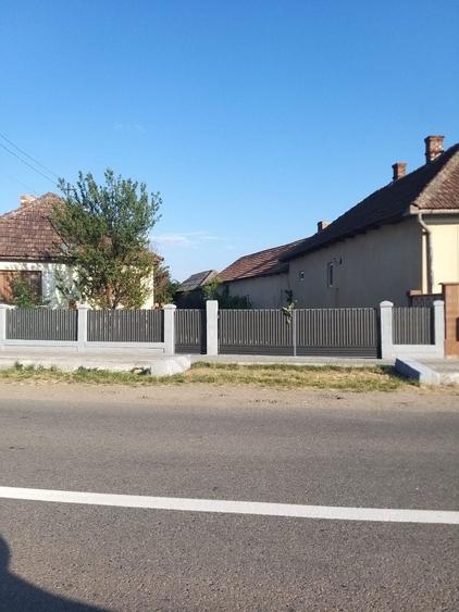 Teren 46 ari cu casa batraneasca Mediesu Aurit - 3