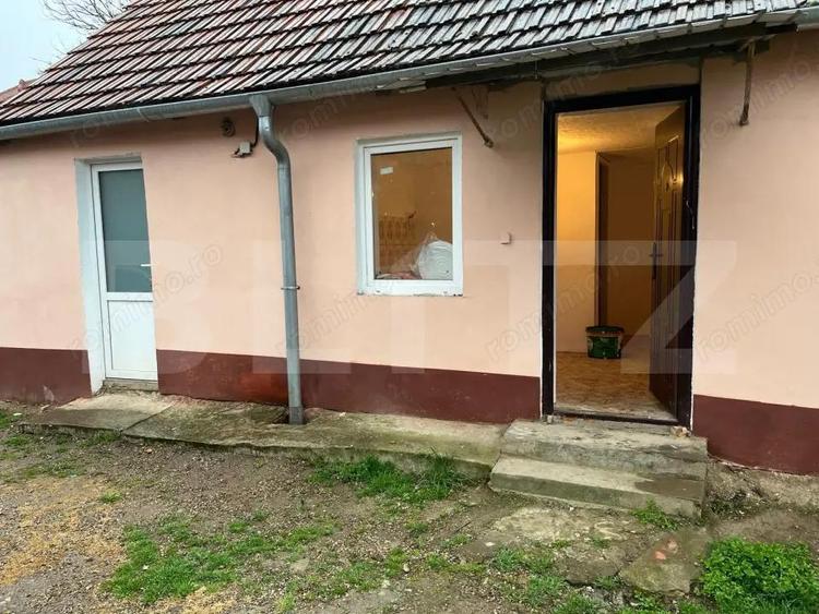 Doua case intr-o curte de 952 mp, Paleu-liniste, spatiu, potential langa Oradea - 6