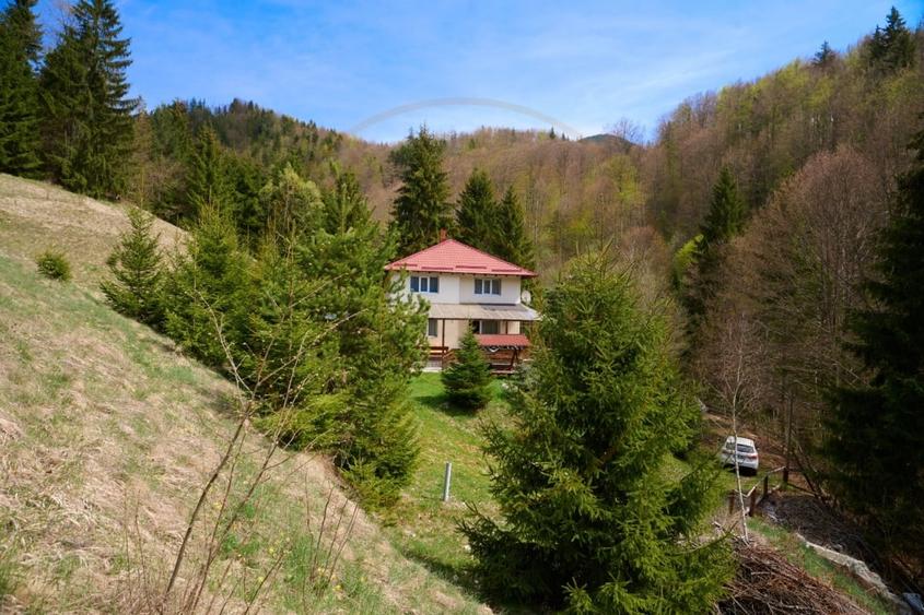 Casa Dambovicioara - CASA de vacanta sau PENSIUNE profitabila - 2