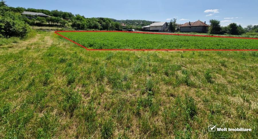 Teren intravilan 2000 mp – Popesti (Baciu) Ideal pentru casa, gradina si livada - 4