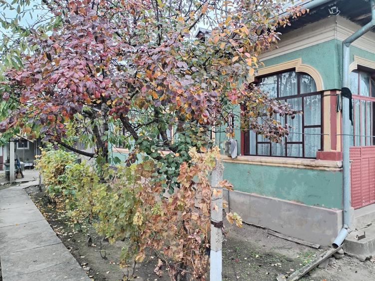 Casa cu teren -  central Segarcea - 20