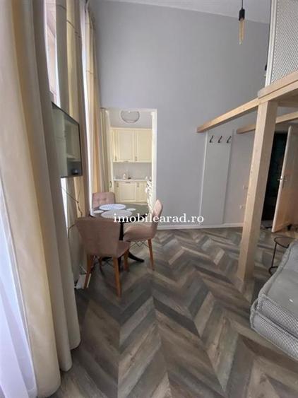 Apartament 60 Euro pe zi, amenajat in stil unic langa Primaria Arad - 1