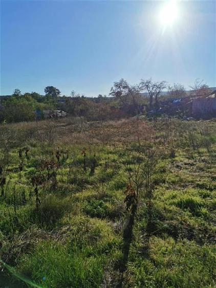 Teren de vanzare in Nifon Tulcea - 5