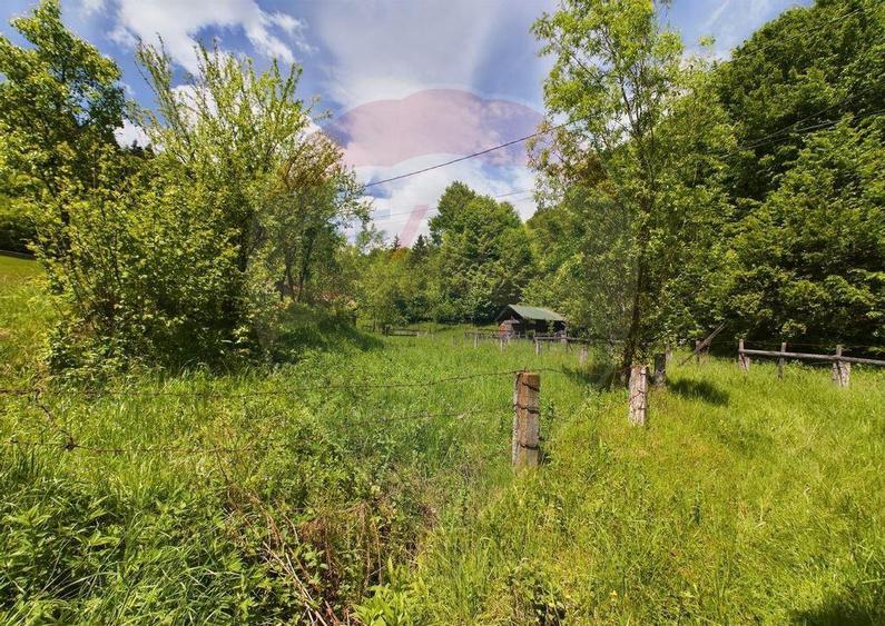 Comision 0%! Proprietate in natura, priveliste superba, S... - 12