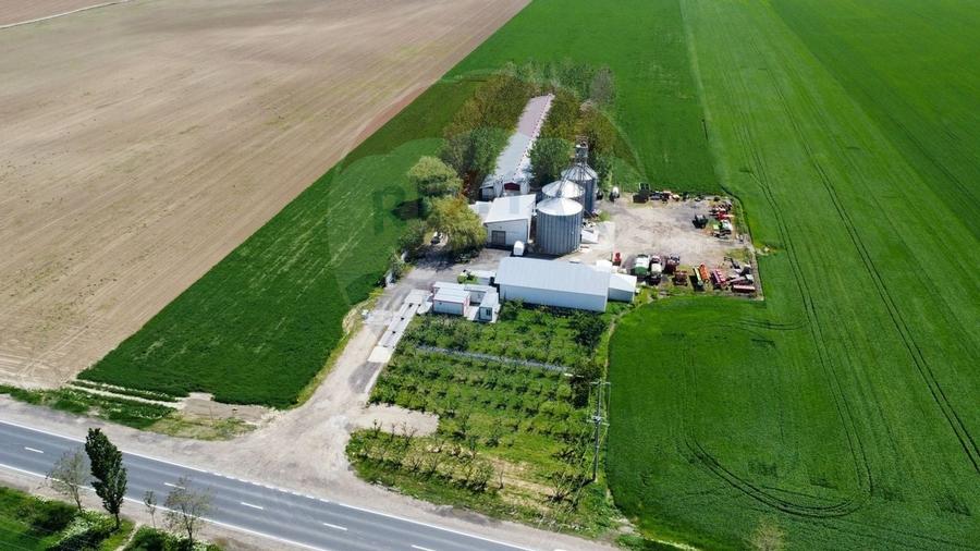 Ferma porcine la cheie - 8