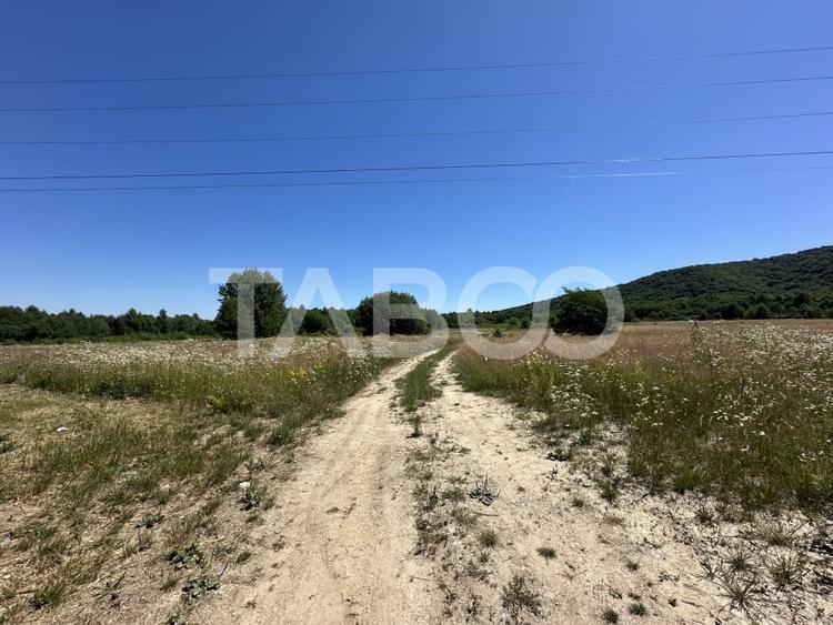 Teren extravilan 1900 mp cu utilitati in apropiere pe Valea Sebesului - 3