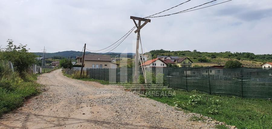 Teren Intravilan | 1347 mp | 35 ml deschidere | Cetate - 2
