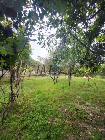 Casa in Pianu de Sus - 6