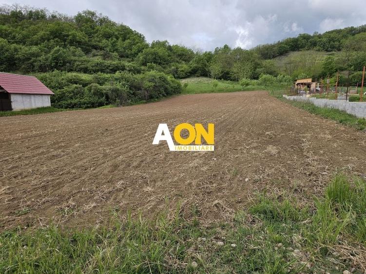 Teren intravilan langa Alba Iulia, 2742 mp, comuna Vintu de Jos - 2