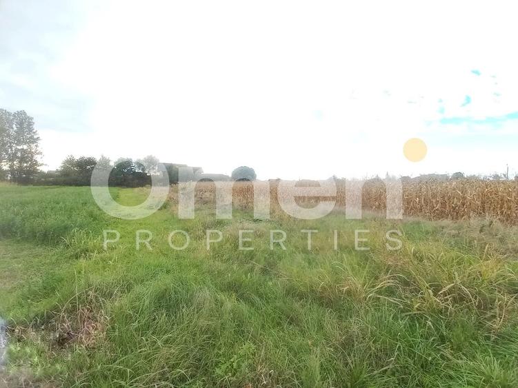 Teren intravilan de 10 arii de vânzare în Cătălina – zonă în plină dezvoltare - 3