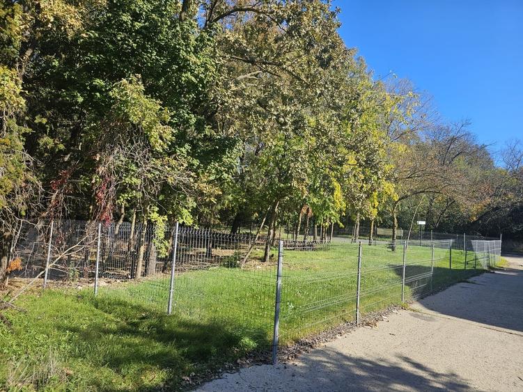 Mangalia, str Ferdinand nr 32, Jupiter - 1