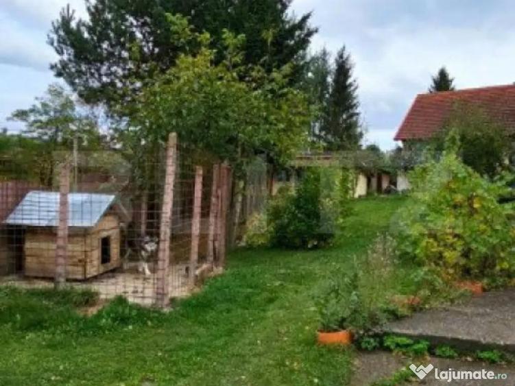 Casa deosebita, 3000 mp teren, 6 camere zona linistita - Bar - 6