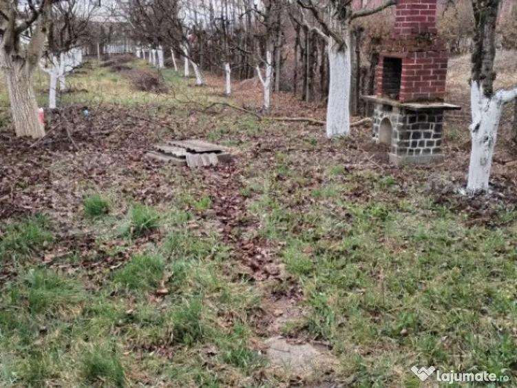 Teren de vanzare, 9000 mp, Zona Aurel Vlaicu - 5