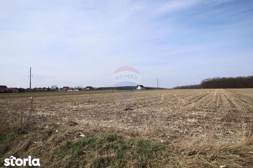Teren 9,740mp Suceava / Strada Principala - 6