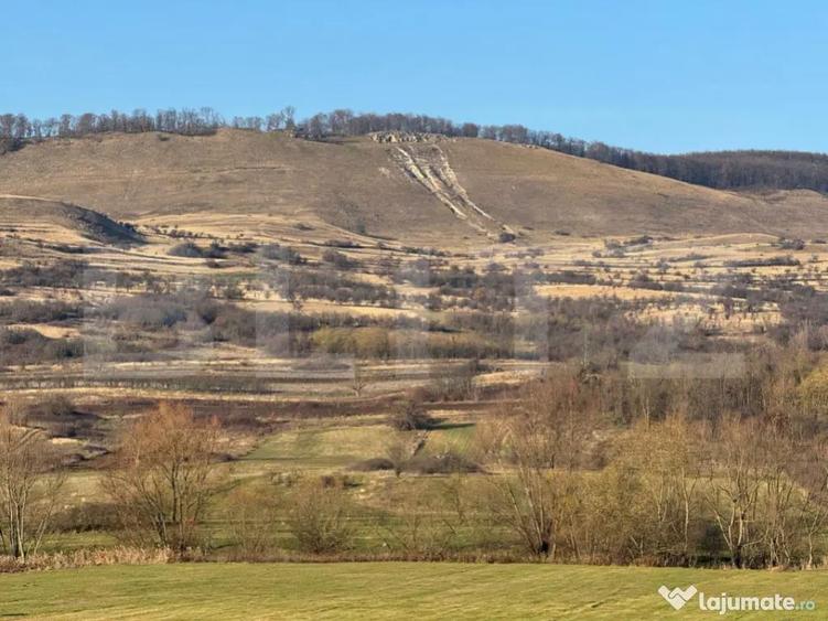 5 terenuri extravilane agricole cu suprafata totala de 13.37 - 2