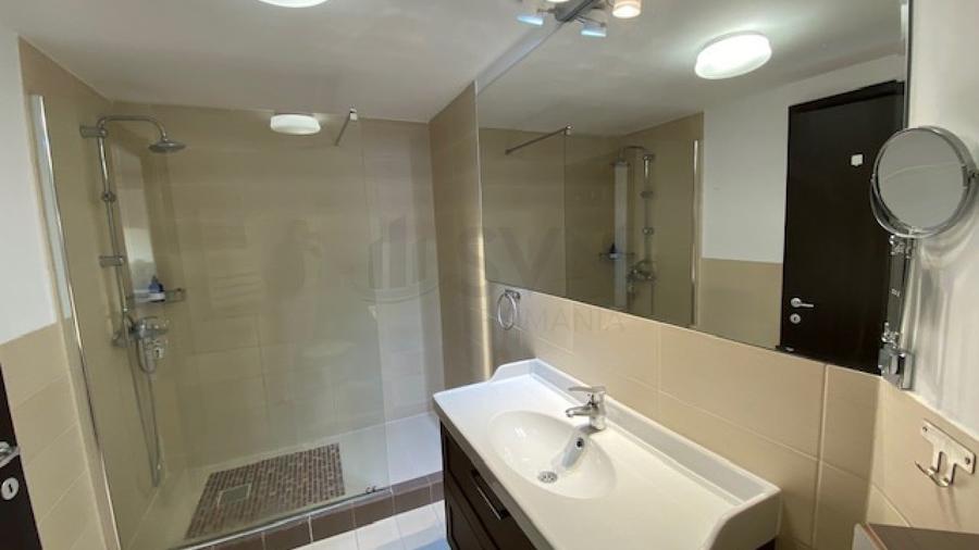 REA1008147 Penthouse 5 camere superb-vedere directa Herastrau - 14