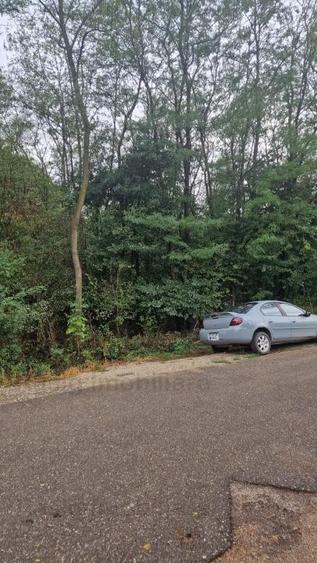 Pensiune Silistea Snagovului - 16