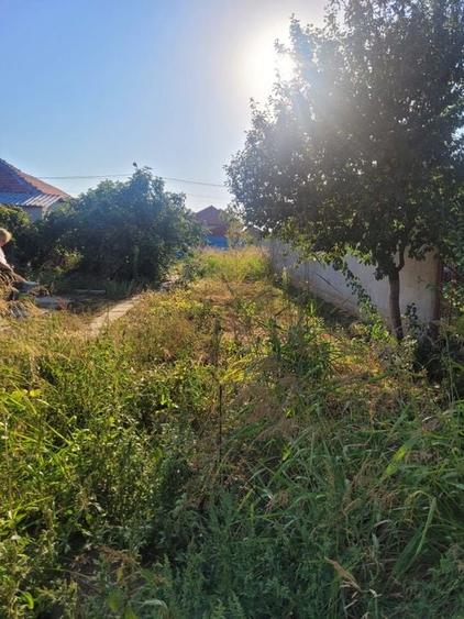 TEREN 510 MP ZONA PALAZU MARE - 8