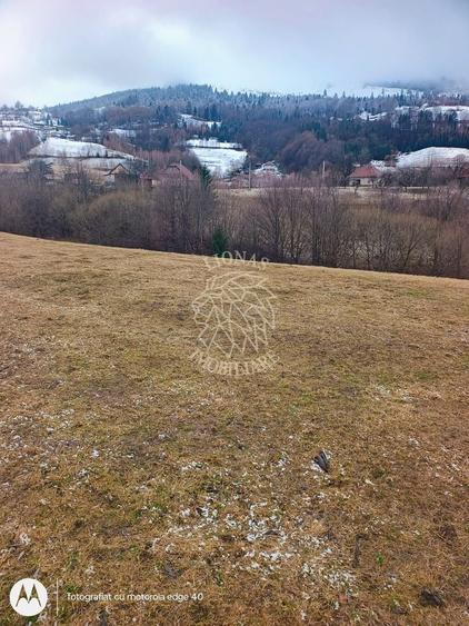 COMISION 0 TEREN TURISTIC EXTRAVILAN APROAPE DE PADURE SACUIEU VLADEASA CLUJ - 8