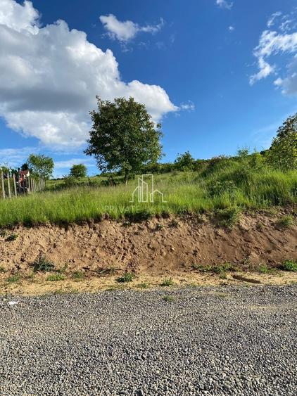 Teren intravilan, 500mp, Bardesti - 6