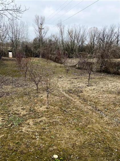 Oportunitate de investitie || teren de vanzare || 933 mp Prahova || - 7